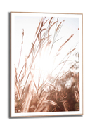 ORANGE WALLZ - Wandbild Sunlight Grasses, B40 x H50 cm