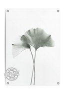 ORANGE WALLZ - Outdoor-Wandbild Biloba Leaf, B50 x H70 cm