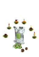 CREANO - Erblühtee Grüner Tee, 250 g
