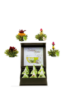 CREANO - Geschenk-Set Erblühtee Grüner Tee, 6 Stück