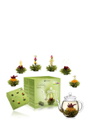 CREANO - Geschenk-Set Erblühtee Grüner Tee, 7-tlg.