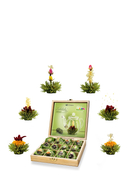 CREANO - Geschenk-Set Erblühtee Grüner Tee, 2 x 6 Sorten