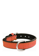 GLORIA - Hunde-Halsband, gepolstert, B1,5 x L30 cm